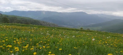 Yenokavan - Photo 4