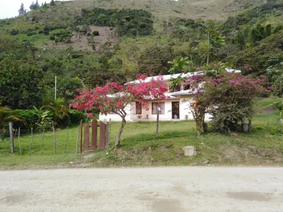 Inza - Photo 2
