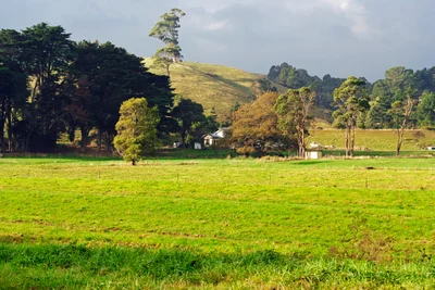 Edith Creek - Photo 2