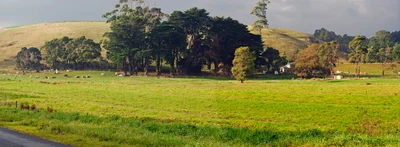 Edith Creek - Photo 4