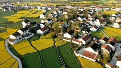 Wusheng - Photo 2