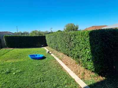Albany Creek - Photo 2