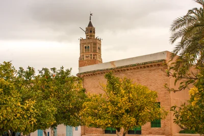 Tastur - Photo 2