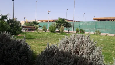 Ain Salah - Photo 4