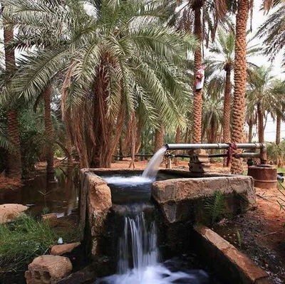 Ain Salah - Photo 5