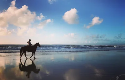 Ahipara - Photo 4