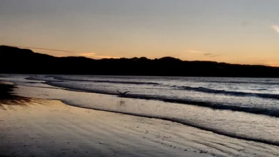 Ahipara - Photo 5