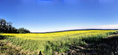 Athabasca County - Photo 2