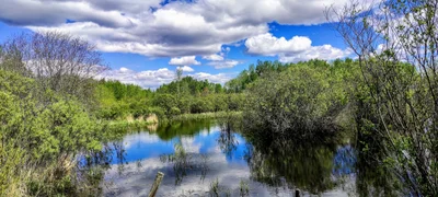 Athabasca County - Photo 3