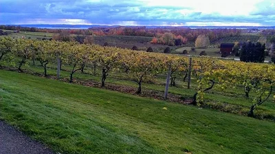 Grand Traverse County - Photo 4