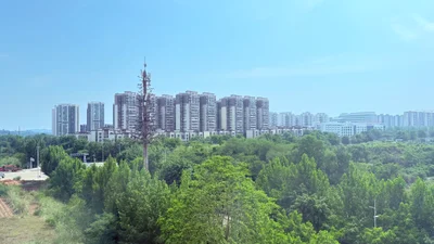 Ziyang - Photo 4