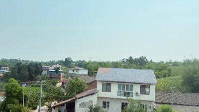 Ziyang - Photo 5