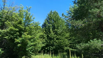 Stoystown - Photo 4