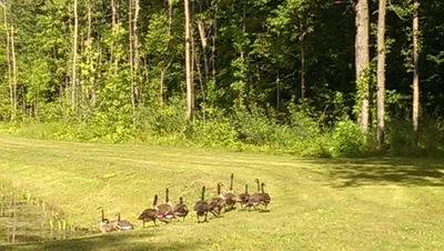 Stoystown - Photo 5
