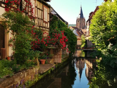 Bas-Rhin - Photo 2