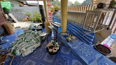 Tha Muang - Photo 4