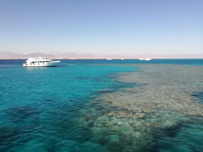 Tiran Island - Photo 2