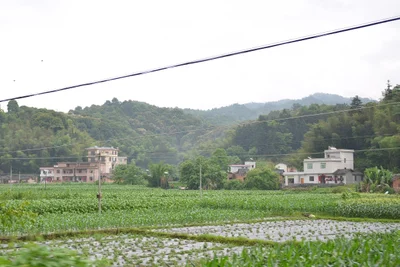 Pingyuan - Photo 5