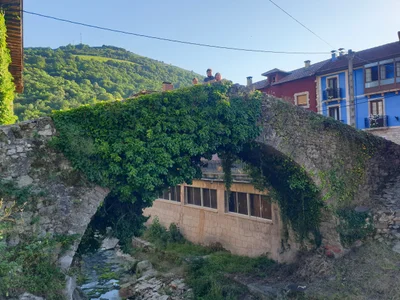 Cabrales Municipality - Photo 3