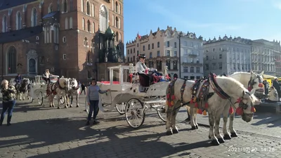Krakow - Photo 4
