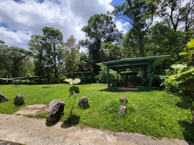 Toro Negro State Forest - Photo 2
