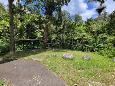Toro Negro State Forest - Photo 3