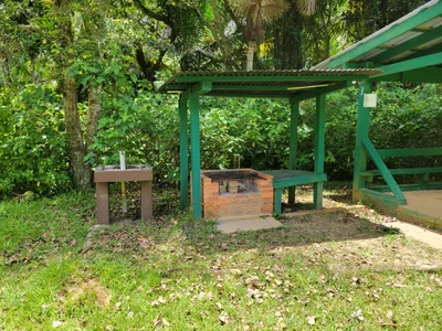 Toro Negro State Forest - Photo 4