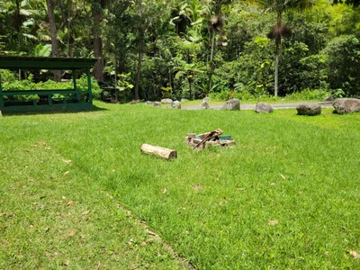 Toro Negro State Forest - Photo 5