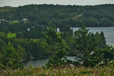 Guysborough - Photo 2
