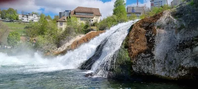 Neuhausen am Rheinfall - Photo 5