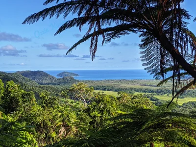 Daintree Region - Photo 4