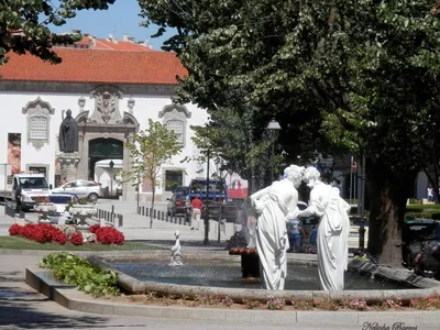 Lamego - Photo 3