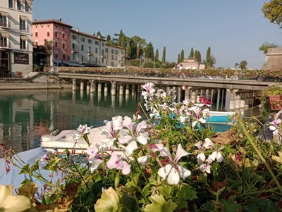 Province of Verona - Photo 4