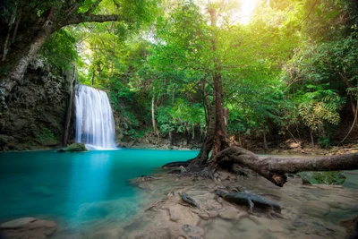 Erawan National Park - Photo 2