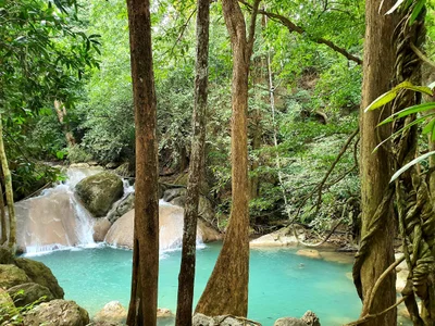 Erawan National Park - Photo 5