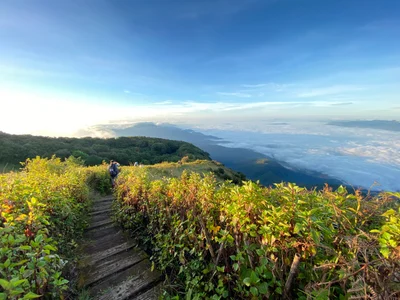 Doi Inthanon National Park - Photo 2