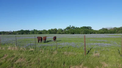 Crawford - Photo 4