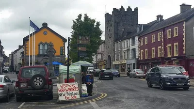 Cashel - Photo 5