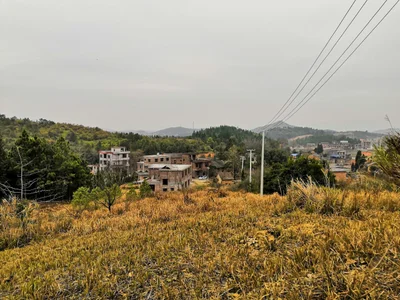 Xintian - Photo 3