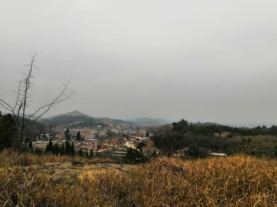 Xintian - Photo 4