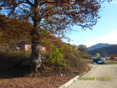 Jing County - Photo 5