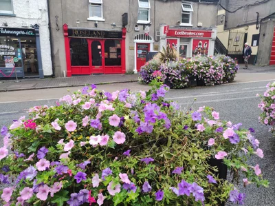 Malahide - Photo 2