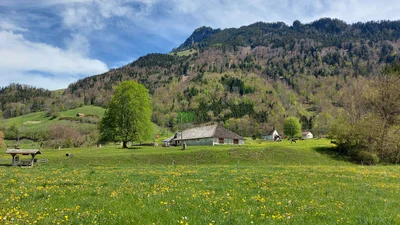 La Gruyere - Photo 4