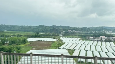 Zizhong - Photo 2