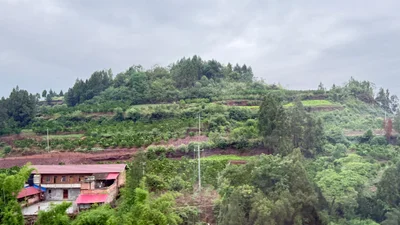 Zizhong - Photo 3