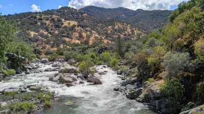 Three Rivers - Photo 2