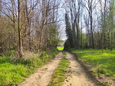 Pombia - Photo 2