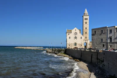 Trani - Photo 5