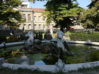 Vicenza - Photo 2
