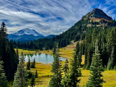 Mount Rainier National Park - Photo 3